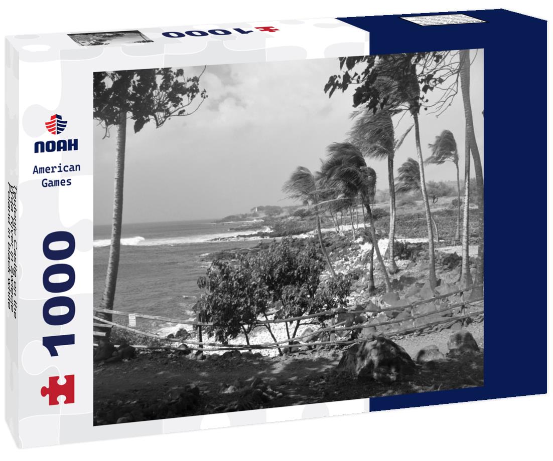 Noah Jigsaw Puzzle Teutonic Castle on the Wda River in Swiecie, Poland in black white 1000 pieces