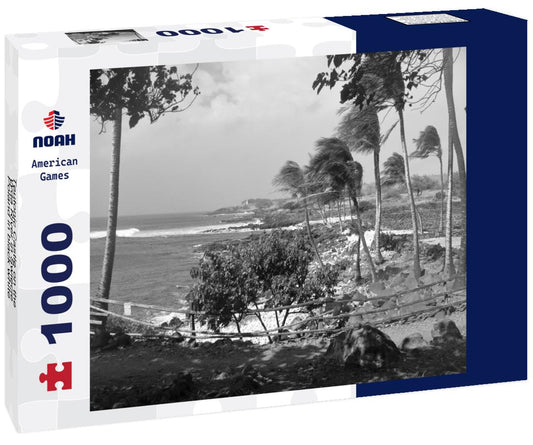 Noah Jigsaw Puzzle Teutonic Castle on the Wda River in Swiecie, Poland in black white 1000 pieces