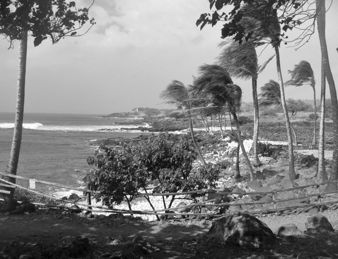 Noah Jigsaw Puzzle Teutonic Castle on the Wda River in Swiecie, Poland in black white 1000 pieces