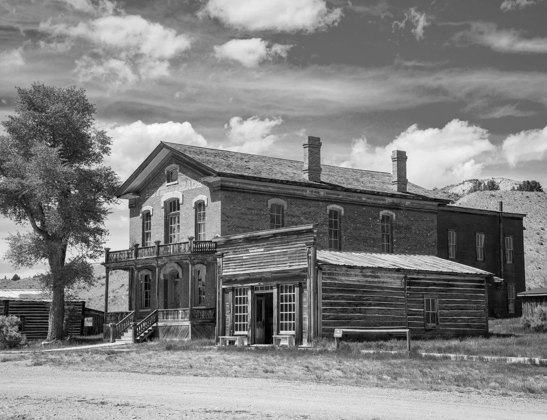 Noah Jigsaw Puzzle Joshua Tree Landscape, Yucca Brevifolia Mojave Desert Joshua Tree National Park California in black white 1000 pieces