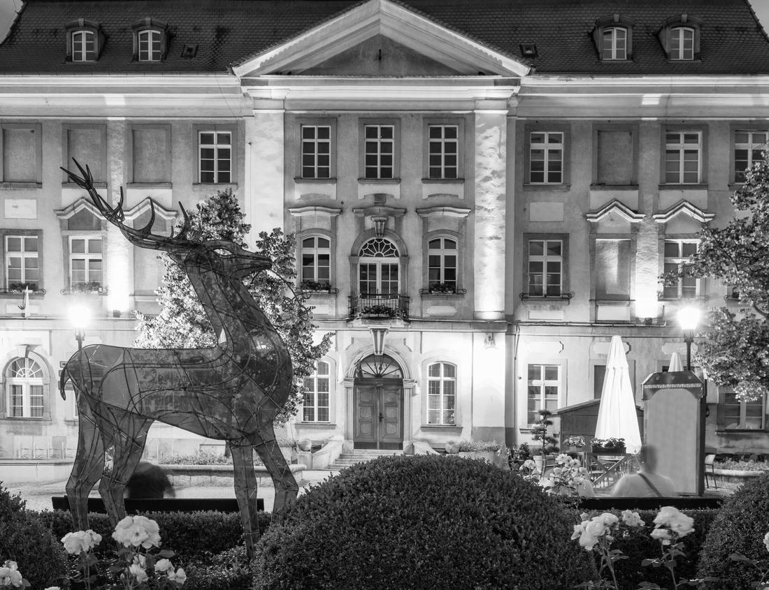 Noah Jigsaw Puzzle Oklahoma City, Oklahoma, USA downtown skyline on the Oklahoma River at dawn in black white 1000 pieces