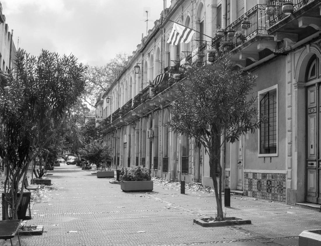 Zion National Park, Utah, USA narrowing trail. Beautiful scenery, views of incredibly picturesque cliffs and mountains 1000pc PuzzleBlack and White