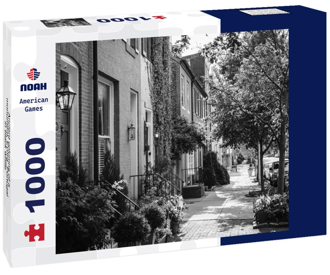 Noah Jigsaw Puzzle Ancient columns of a monument, Evora, Portugal in black white 1000 pieces