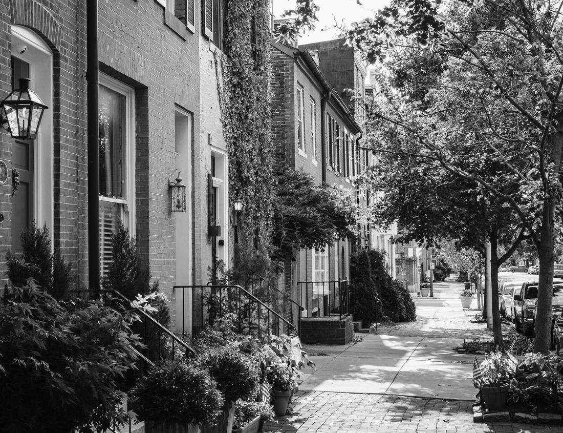 Noah Jigsaw Puzzle Ancient columns of a monument, Evora, Portugal in black white 1000 pieces