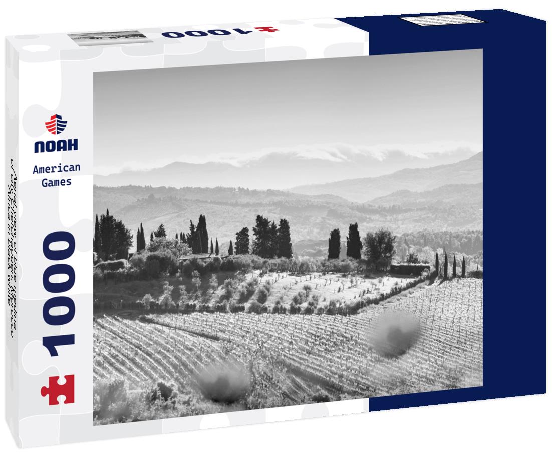 Noah Jigsaw Puzzle Aerial view of blue medina of city Chefchaouen, Morocco, Africa in black white 1000 pieces