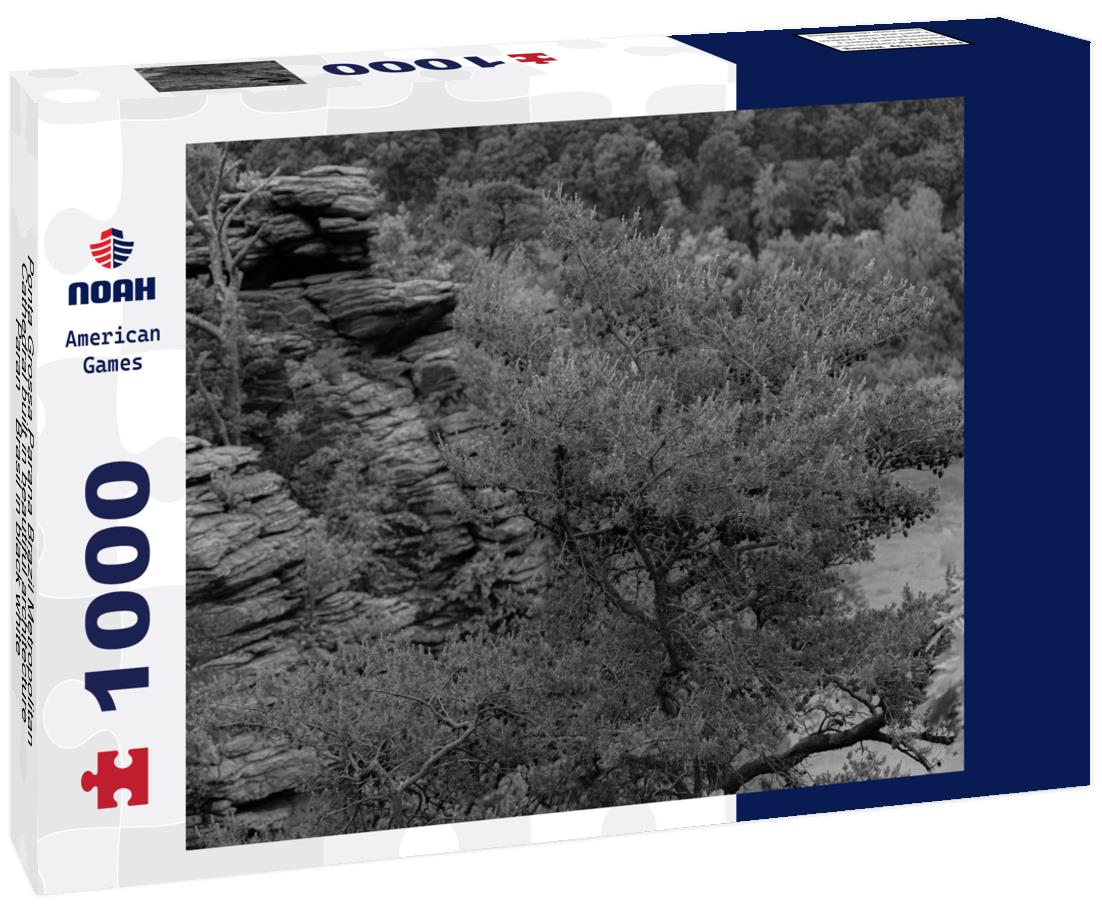 Noah Jigsaw Puzzle Ponta Grossa Parana Brazil Metropolitan Cathedral built in beautiful architecture Paraná Brasil in black white 1000 pieces