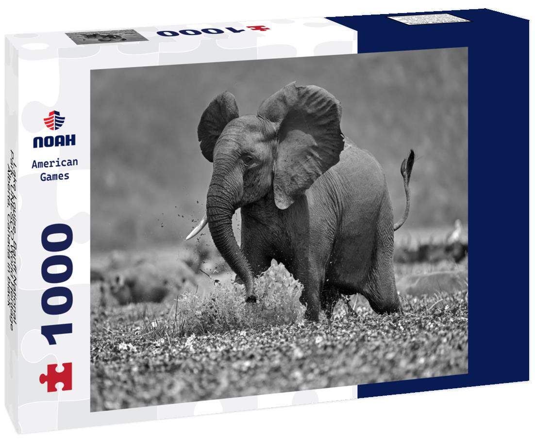 Noah Jigsaw Puzzle Lake Louise, Banff National Park, UNESCO World Heritage, Alberta, Canada in black white 1000 pieces