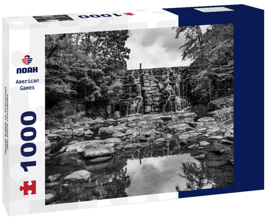 Noah Jigsaw Puzzle Heilbronn town hall, Germany in black white 1000 pieces