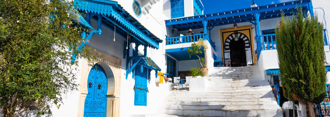 Noah Jigsaw Puzzle Urban landscape with typical white, blue houses in the village of Sidi Bou Said, Tunisia panorama 1000 pieces