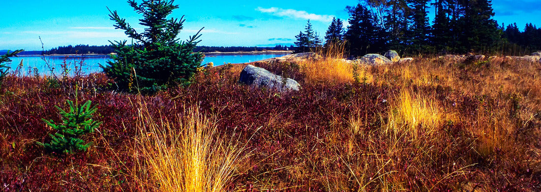 Noah Jigsaw Puzzle Deer Isle, Maine, Lobster Wharf, granite, autumn colors panorama 1000 pieces