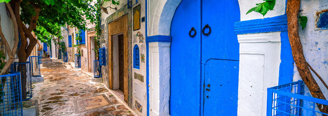 Noah Jigsaw Puzzle Hammamet Medina streets with blue walls. Tunis, North Africa panorama 1000 pieces