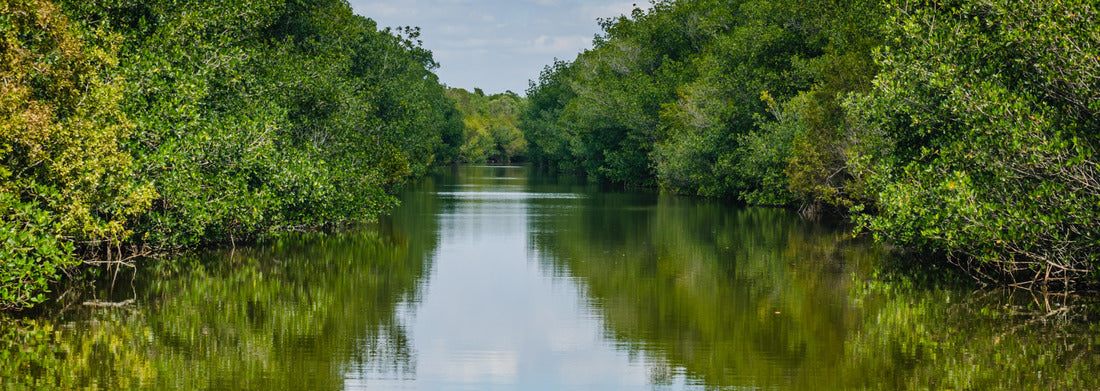 Noah Jigsaw Puzzle Sky and trees reflected on the lagoon at Biscayne National Park panorama 1000 pieces