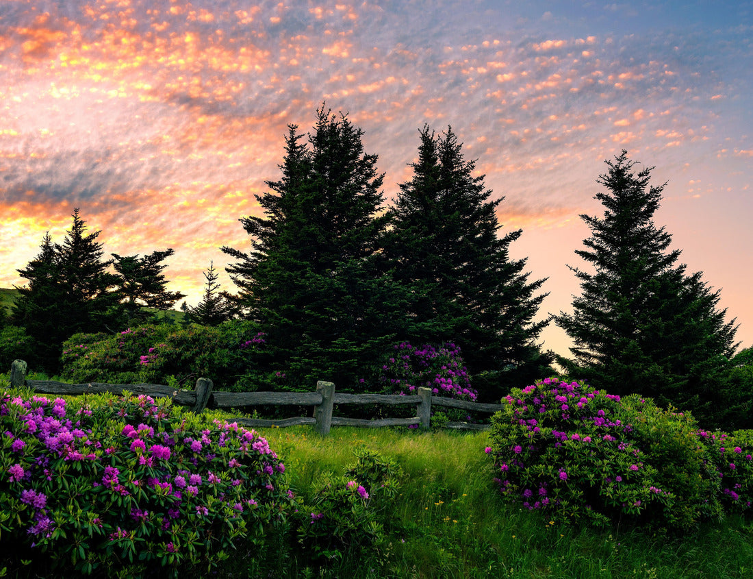 Scenic summer sunrise over Carvers Gap on the Tennessee and North Carolina state line 1000pc Puzzle