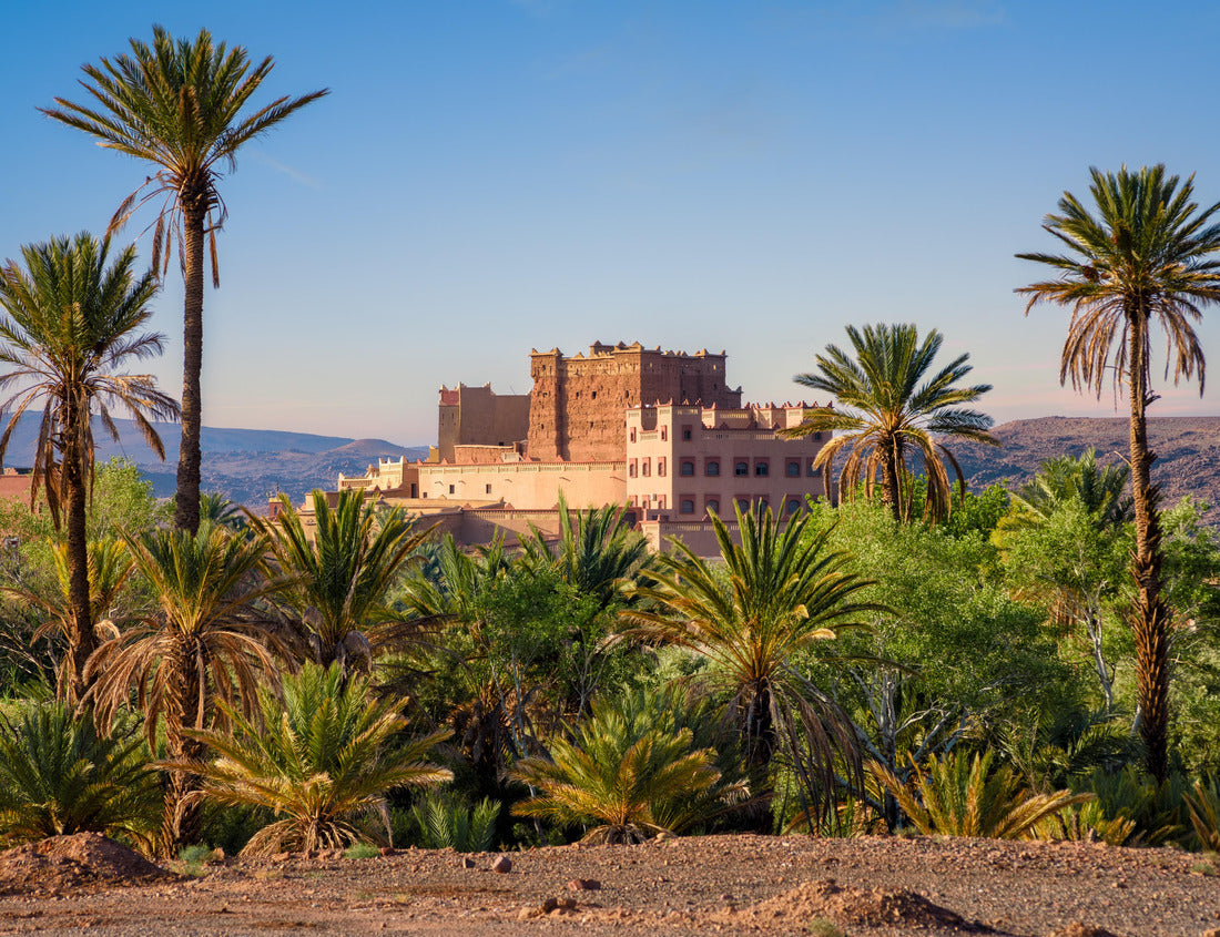 Noah Jigsaw Puzzle Ait Taleb traditional berber clay kasbah in a palm grove in Skoura, Atlas mountains, Morocco 1000 pieces