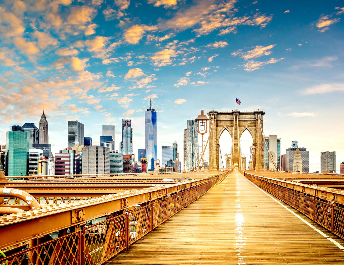 Noah Jigsaw Puzzle Brooklyn Bridge, Skyline of New York City USA 1000 pieces