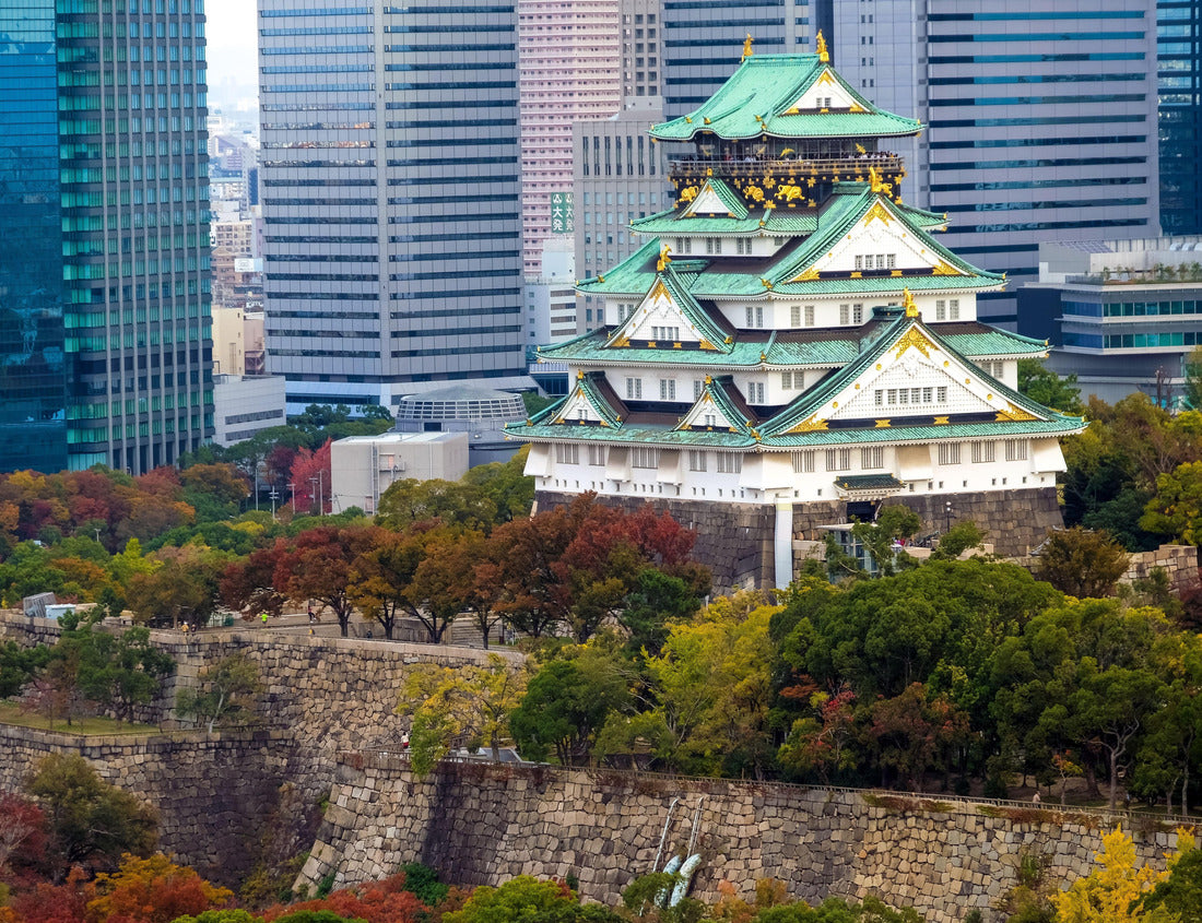 Noah Jigsaw Puzzle An aerial view of the Osaka castle surrounded by autumn trees with modern skyscrapers on the background, Japan 1000 pieces