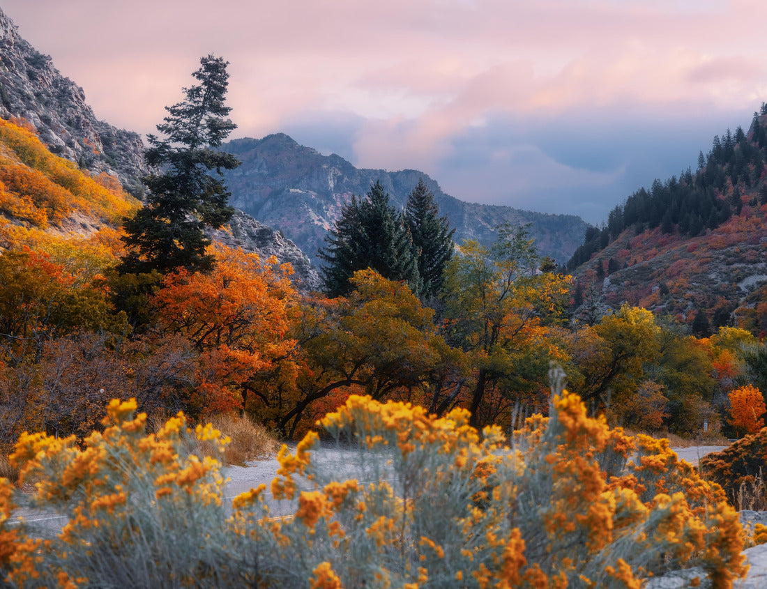 Scenic autumn landscape near Mt Ogden in Utah 1000pc Puzzle