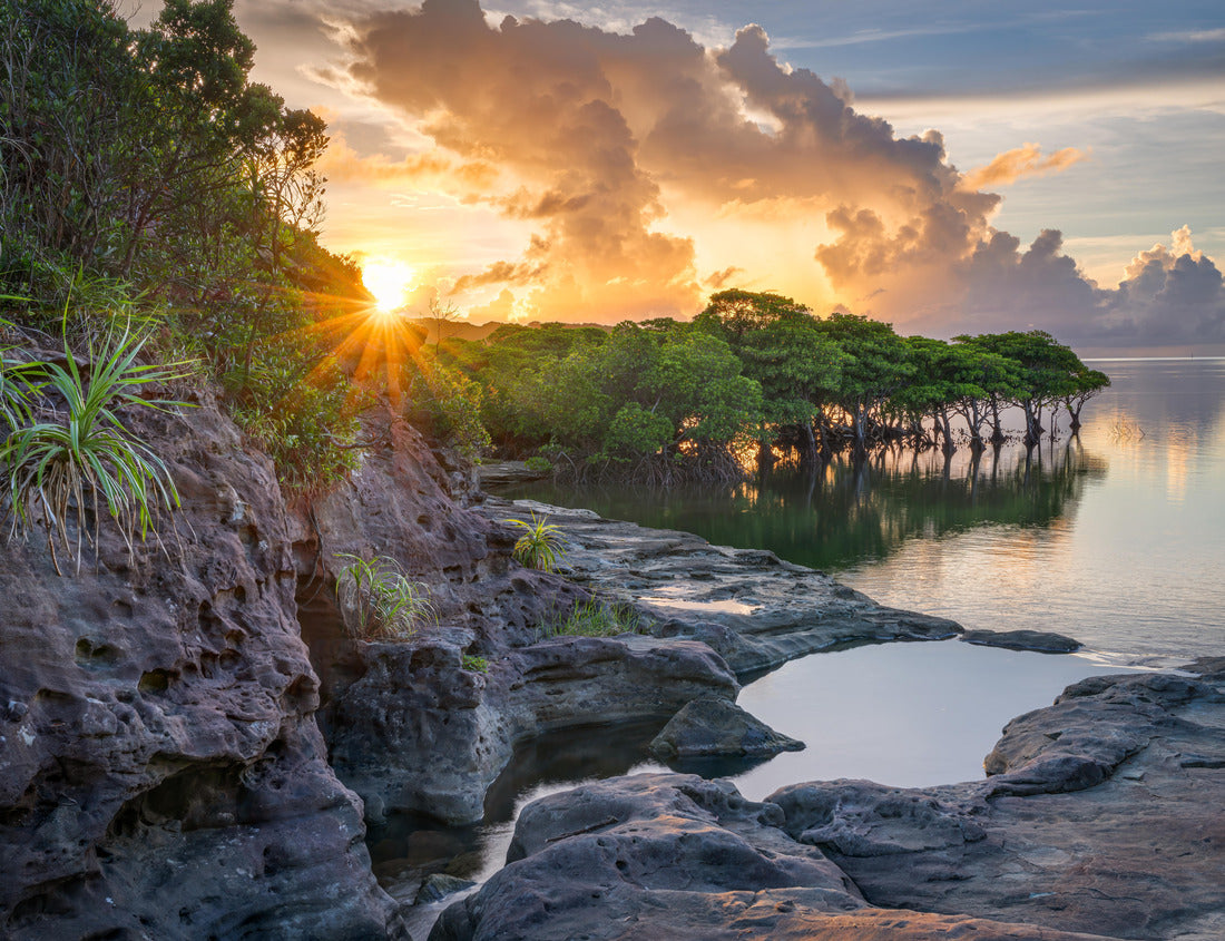 Noah Jigsaw Puzzle Iriomote, Okinawa, Japan coastal views at sunset 1000 pieces