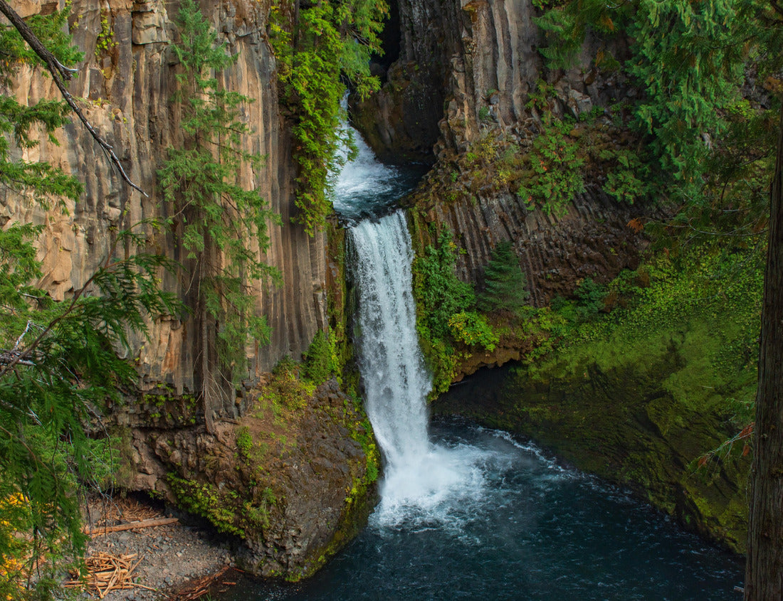 Noah Jigsaw Puzzle A beautiful setting surrounding a backcountry waterfall in deep in the Oregon forest 1000 pieces