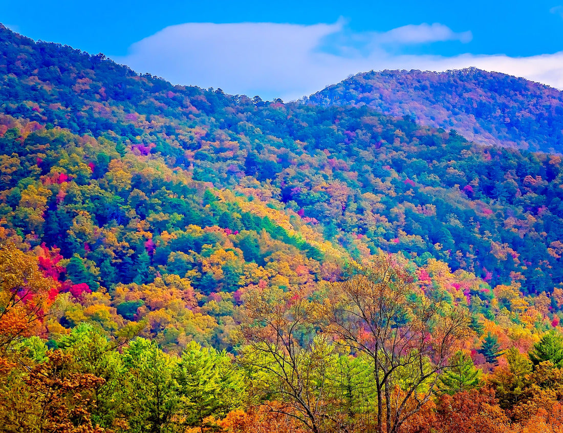 Noah Jigsaw Puzzle Fall foliage adds splashes of color in Cades Cove, at Great Smoky Mountains National Park in Tennessee 1000 pieces