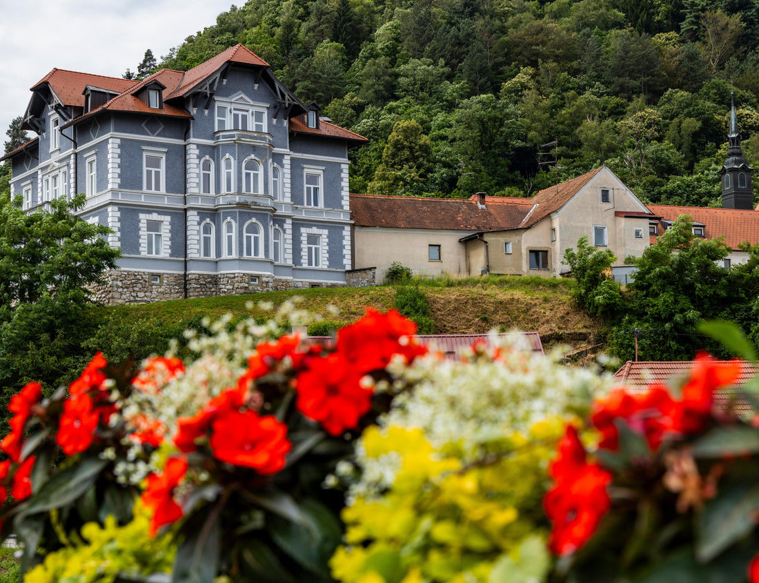 Noah Jigsaw Puzzle City of Celje in a, beautiful village decorated with flowers, traditional buildings with towers and castle, interesting tourist stop. Artistic graffiti. Main street with church and gold statue 1000 pieces