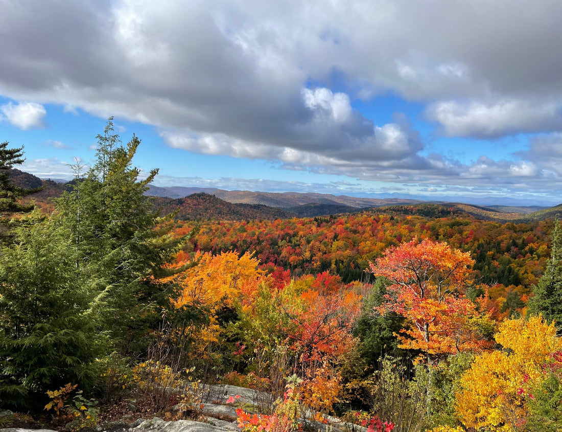 Noah Jigsaw Puzzle Discover the breathtaking beauty of Libby's Look in the fall. This serene hiking spot offers panoramic views of vibrant autumn foliage, tranquil trails, and a perfect escape into Vermont 1000 pieces