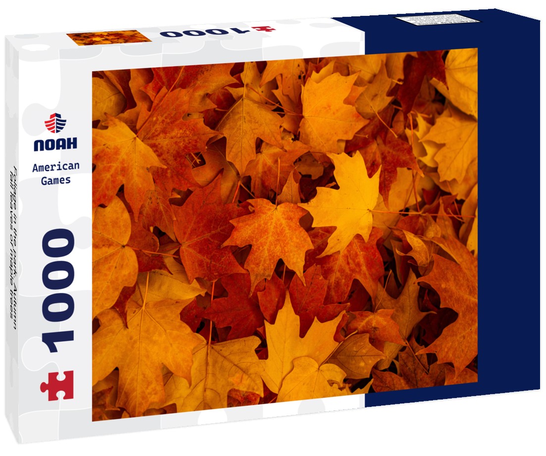 Noah Jigsaw Puzzle Foliage in the park. Autumn fall leaves of maple trees 1000 pieces