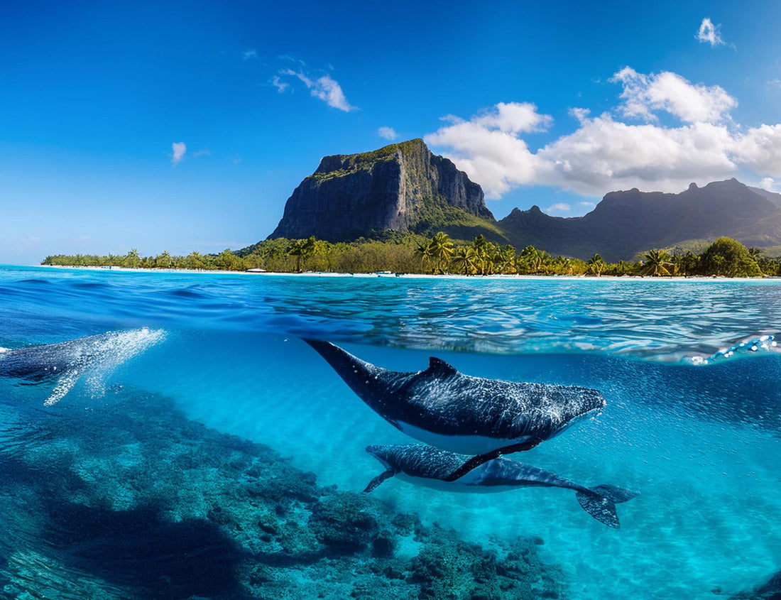 Noah Jigsaw Puzzle Mauritius Whales and sperm whales and vibrant coral reefs and sea Turtles. Mauritius island under waterfall, Mauritius undersea, Mauritius sea 1000 pieces