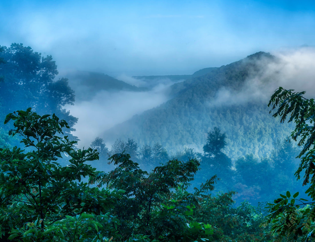 Misty August morning at McGuire Mountain Overlook, Webster County, West Virginia, USA 1000pc Puzzle