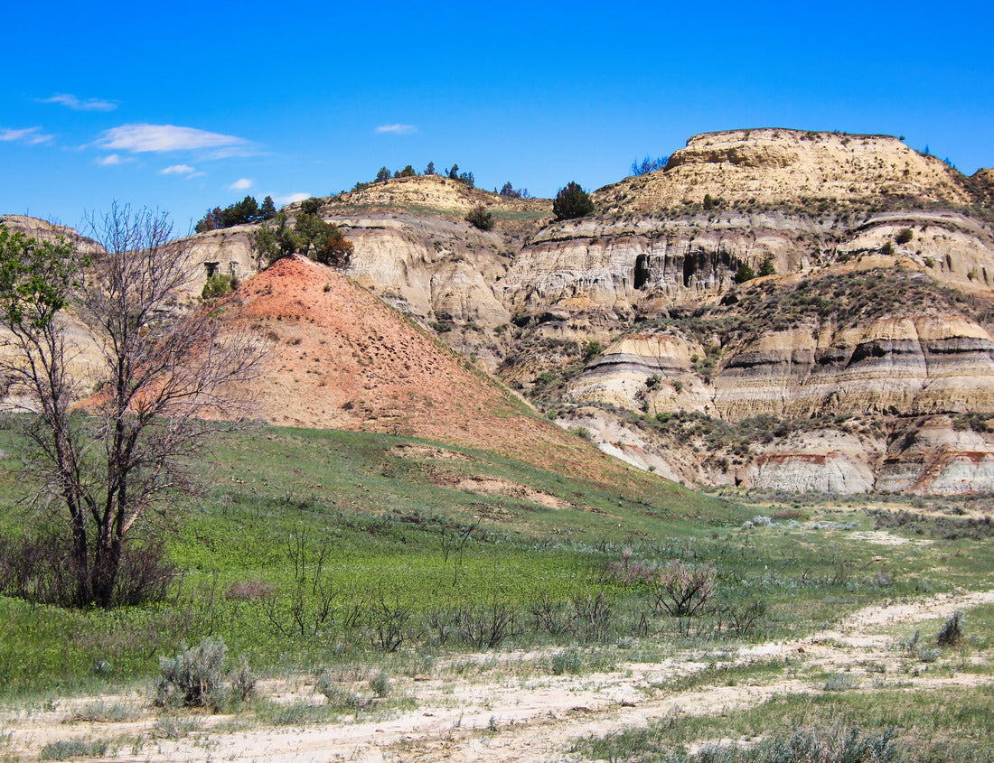 Summer in the Badlands of Theodore Roosevelt National Park, North Dakota 1000pc Puzzle