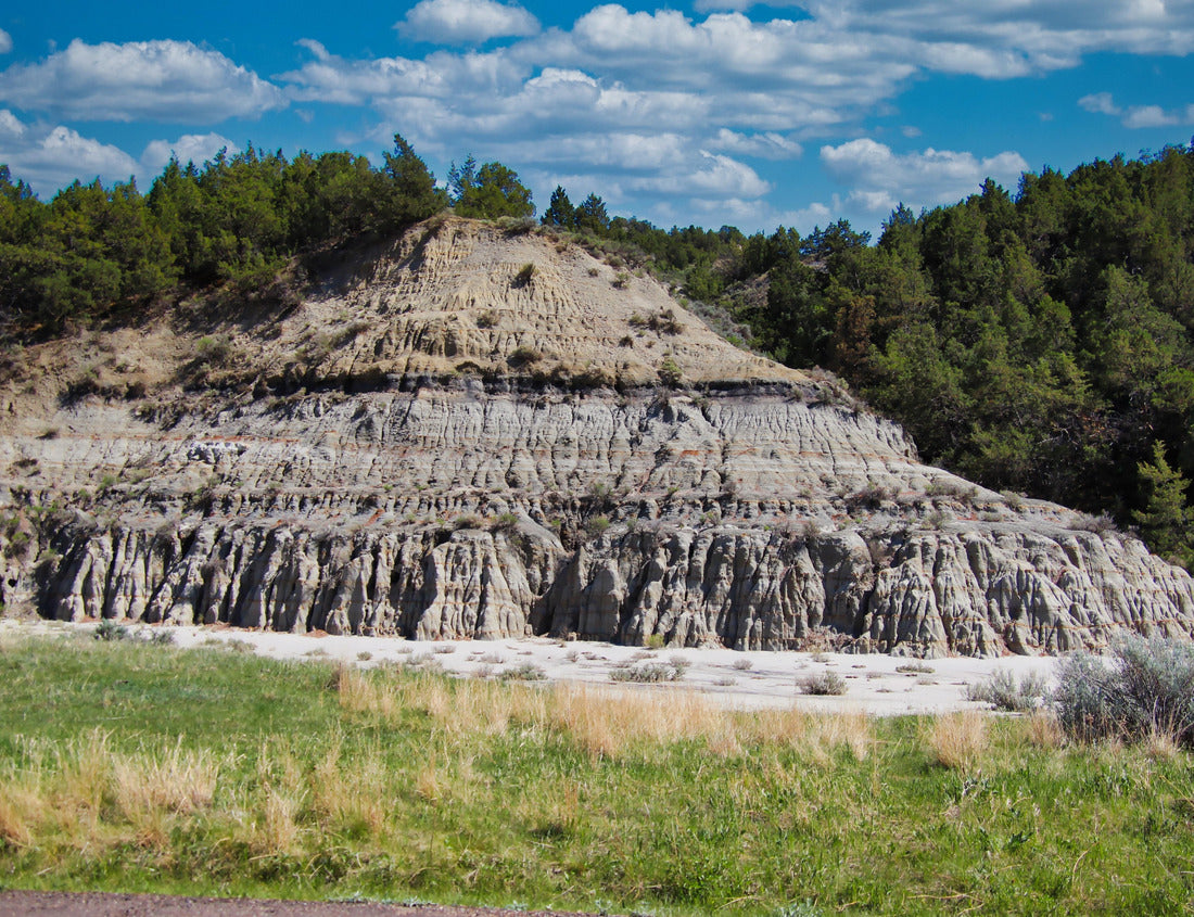 Noah Jigsaw Puzzle Early June in the South Unit of the Badlands, Theodore Roosevelt National Park in North Dakota 1000 pieces