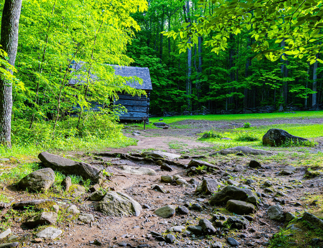 Noah Jigsaw Puzzle Historic Alex Cole Log Cabin on The Roaring Fork Motor Nature Trail, Great Smoky Mountains, National Park, Tennessee, USA 1000 pieces