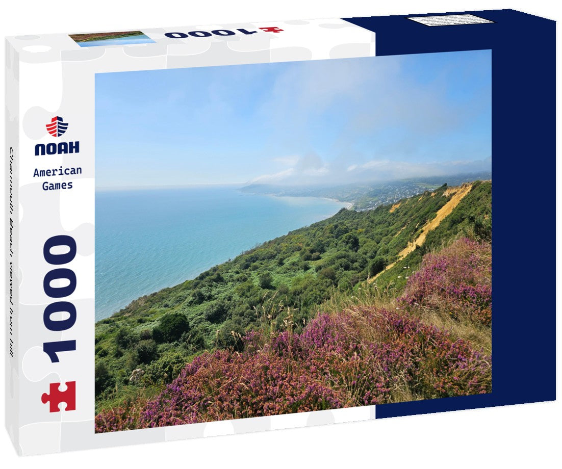 Noah Jigsaw Puzzle Charmouth Beach viewed from hill 1000 pieces