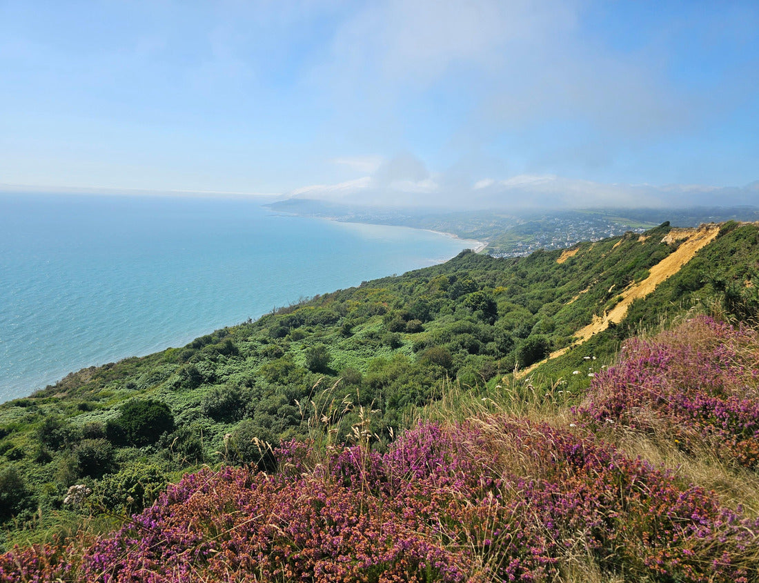 Noah Jigsaw Puzzle Charmouth Beach viewed from hill 1000 pieces
