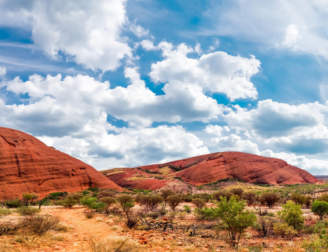 Outback, Northern Territory, Australia 1000pc Puzzle