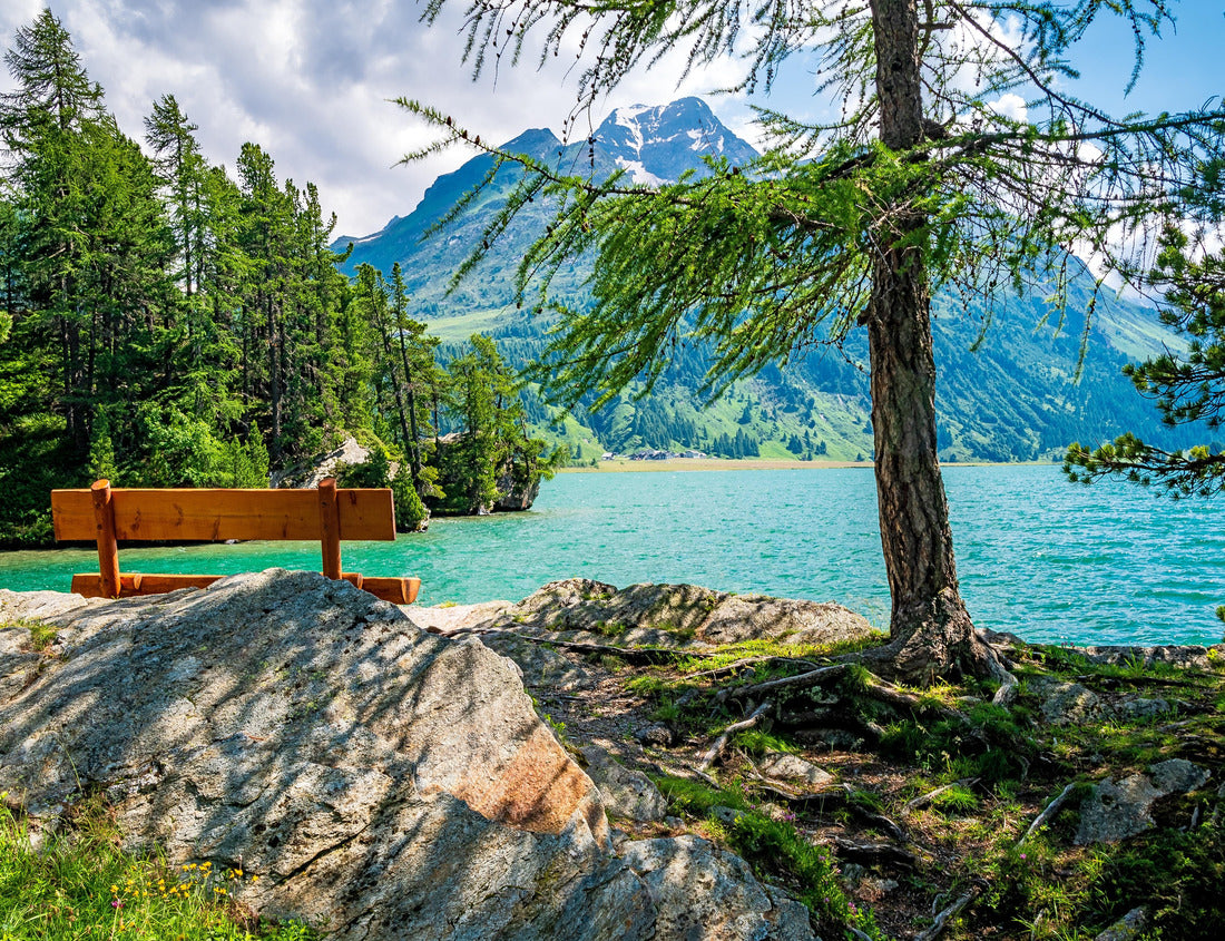 Noah Jigsaw Puzzle Idyllic place on the Chastè peninsula at Lake Sils in the Upper Engadine, Switzerland 1000 pieces