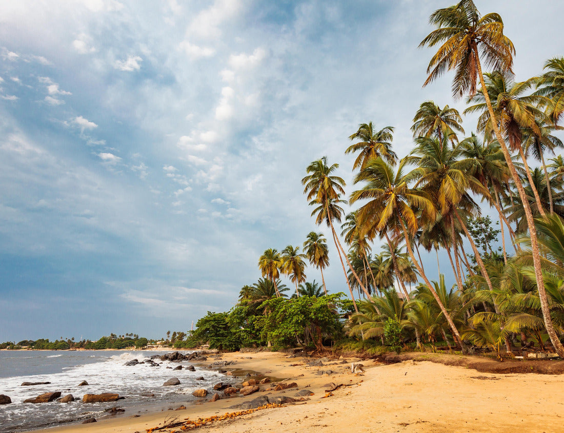 Noah Jigsaw Puzzle KRIBI, CAMEROON, beautiful sandy beach and palm trees by the sea, in the warm afternoon golden hour light 1000 pieces