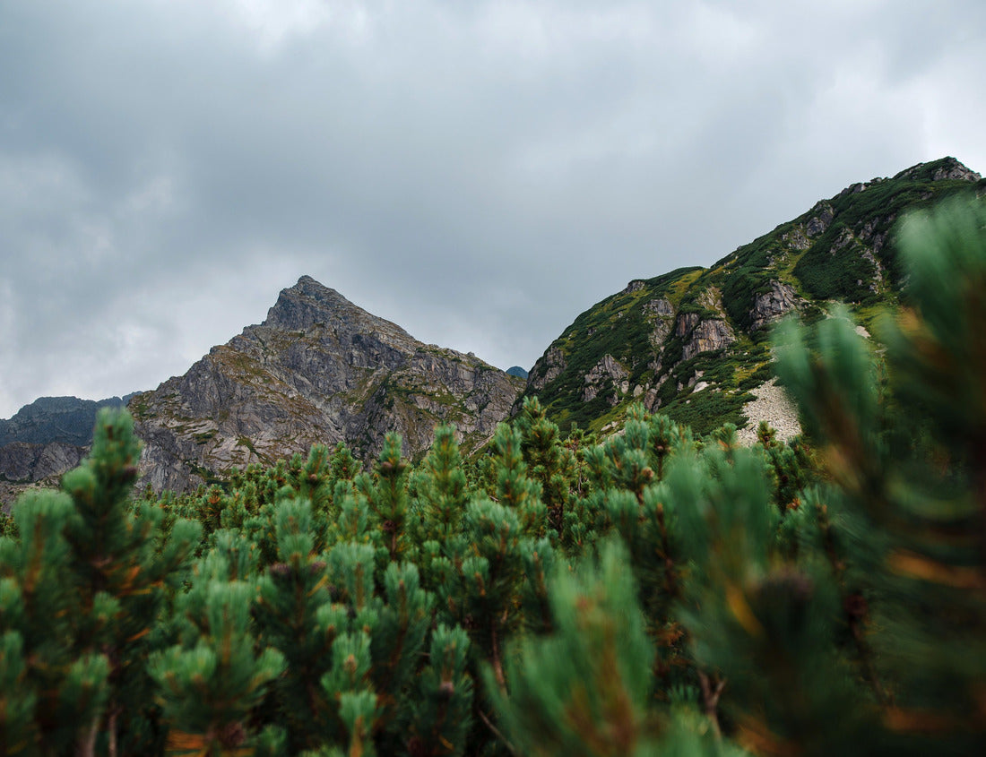 Noah Jigsaw Puzzle Amazing mountain landscape in the cloudy High Tatras, Slovakia. Tatra National Park at summer time 1000 pieces