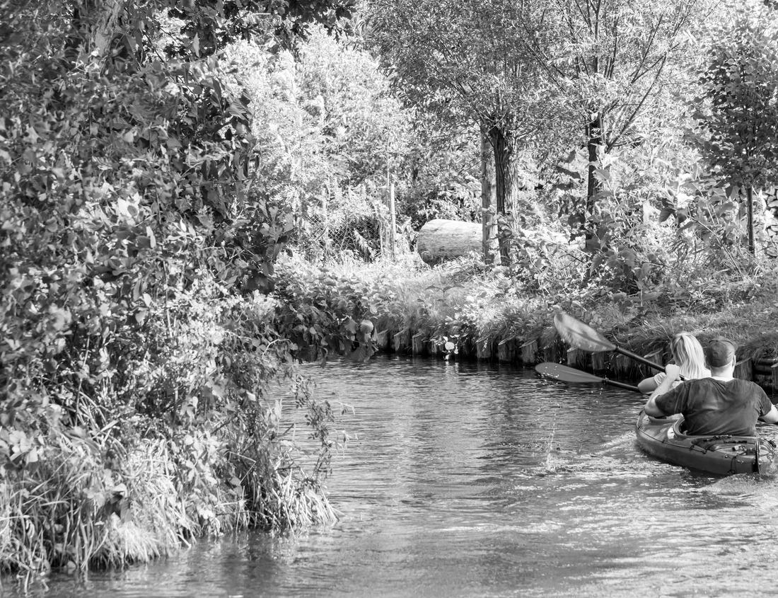 Noah Jigsaw Puzzle A herd of bison moves quickly along the Firehole River in Yellowstone National Park (near Midway Geyser Basin) in black white 1000 pieces