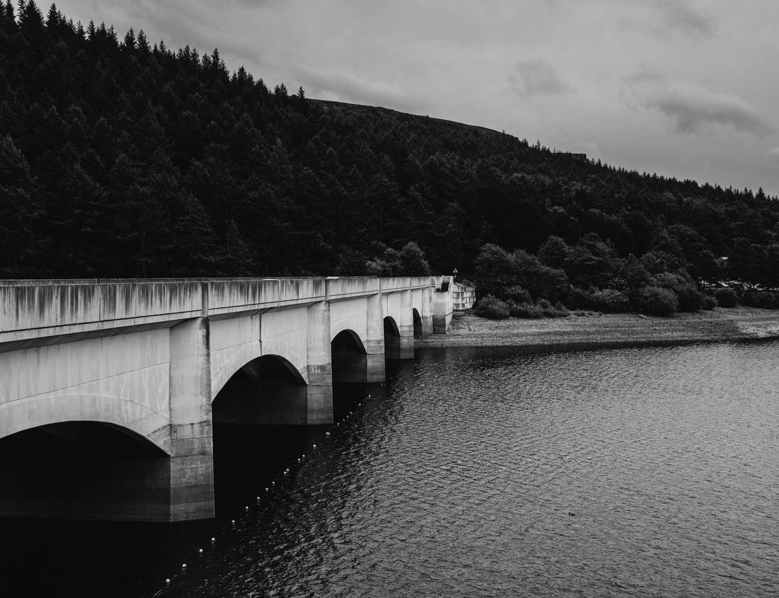 Noah Jigsaw Puzzle Gate and belfry of Alexandrovsky monastery in Suzdal, Russia in black white 1000 pieces