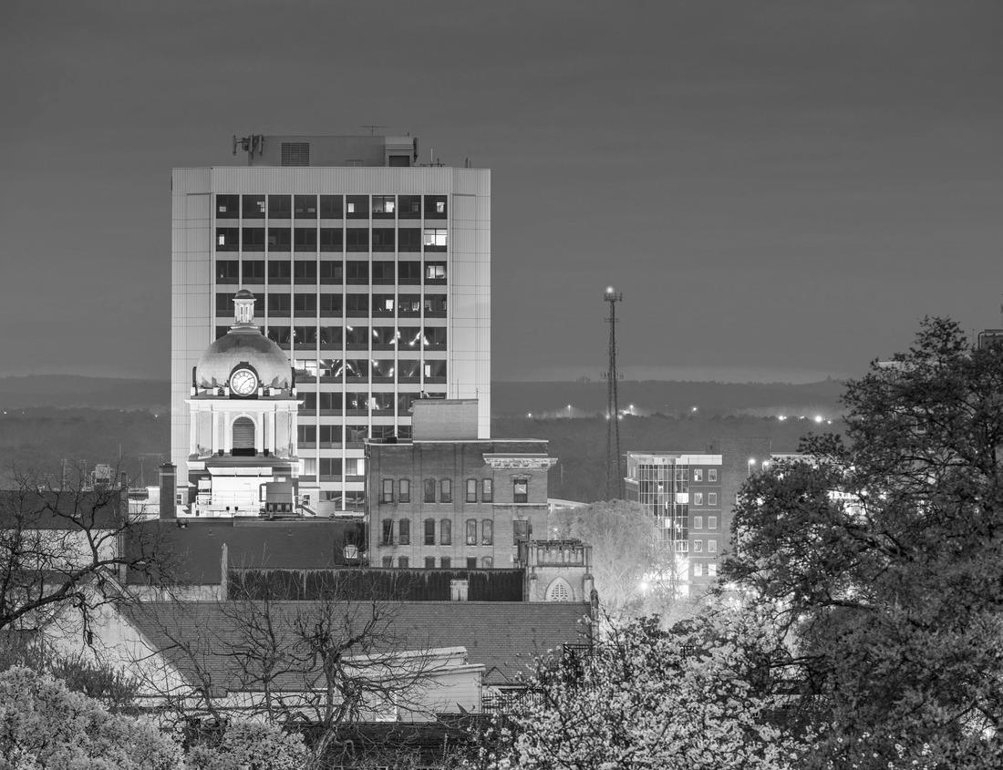 Noah Jigsaw Puzzle Denali National Park in autumn in black white 1000 pieces