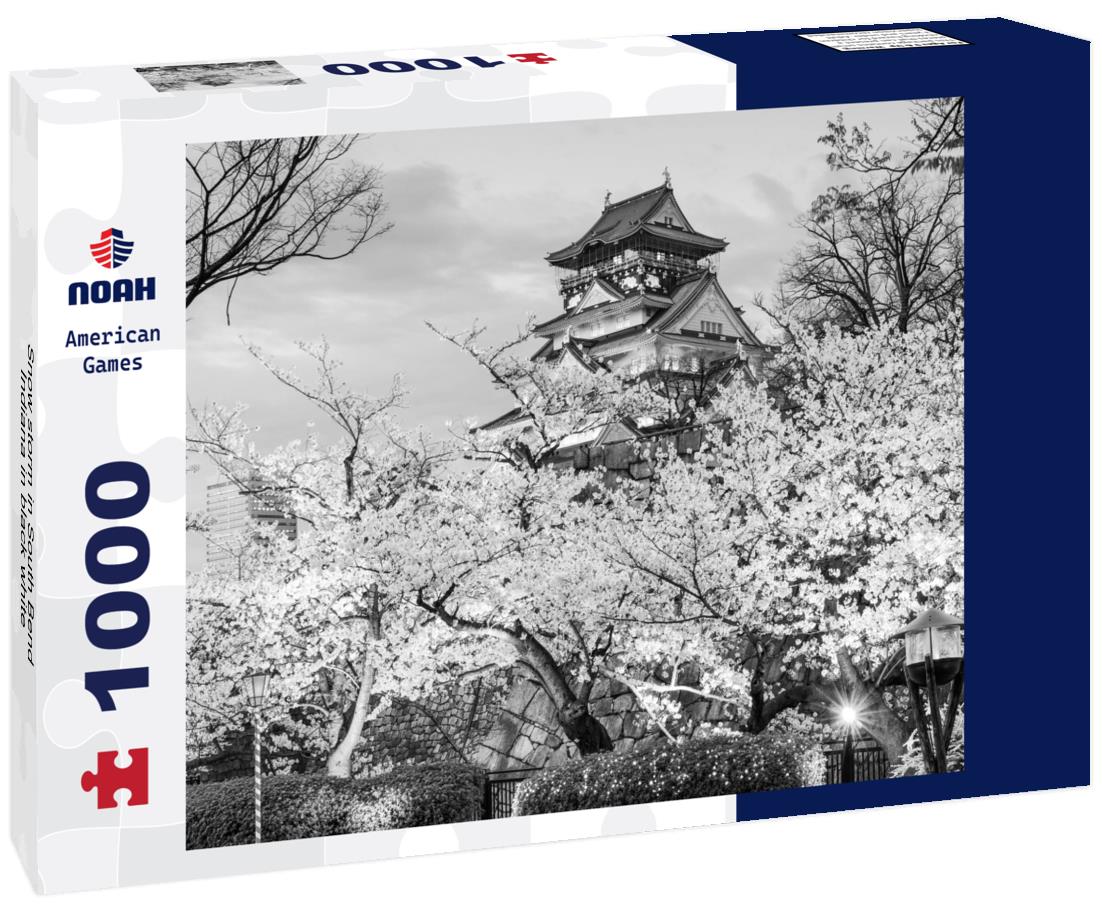 Noah Jigsaw Puzzle Snow storm in South Bend, Indiana in black white 1000 pieces