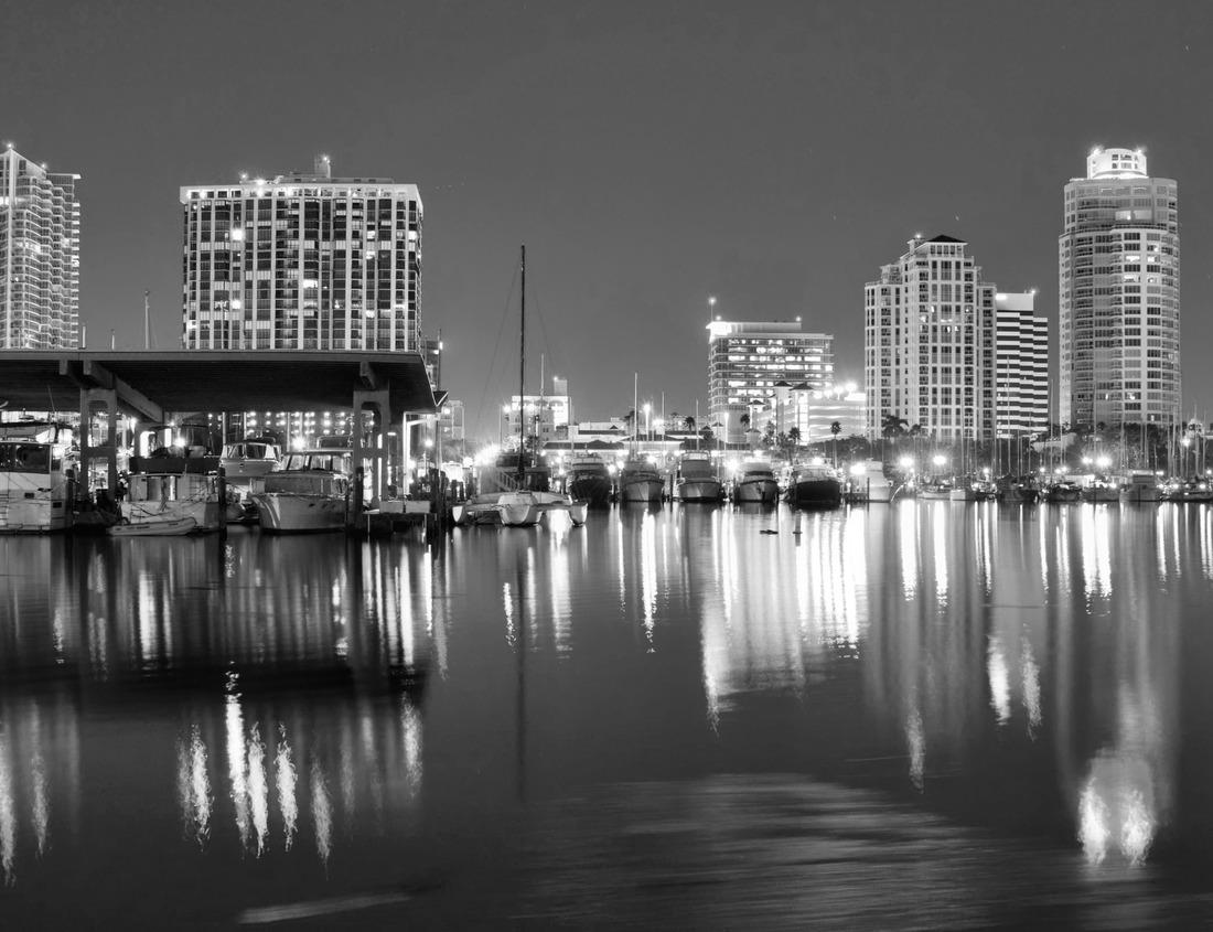 Noah Jigsaw Puzzle City of St. Louis in black white 1000 pieces