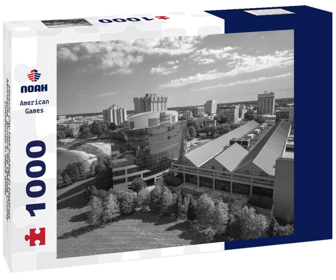 Noah Jigsaw Puzzle Historic City Hall building in Hastings Minnesota, formerly the Dakota County Courthouse in black white 1000 pieces