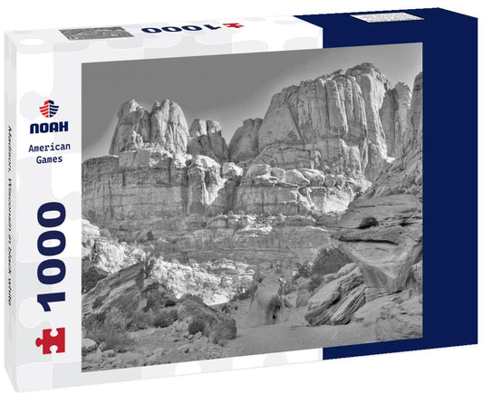 Noah Jigsaw Puzzle Madison, Wisconsin in black white 1000 pieces