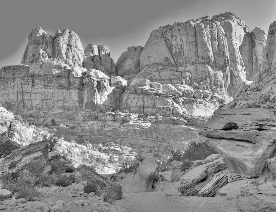 Noah Jigsaw Puzzle Madison, Wisconsin in black white 1000 pieces