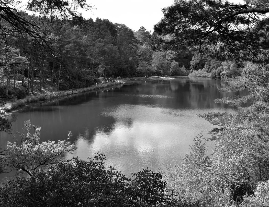 Noah Jigsaw Puzzle Wabasha Street bridge at dusk illuminated by street lamps in Saint Paul Minnesota in black white 1000 pieces