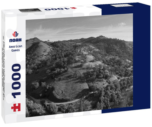 Noah Jigsaw Puzzle City of St. Louis skyline. Image of St. Louis downtown with Gateway Arch at twilight in black white 1000 pieces