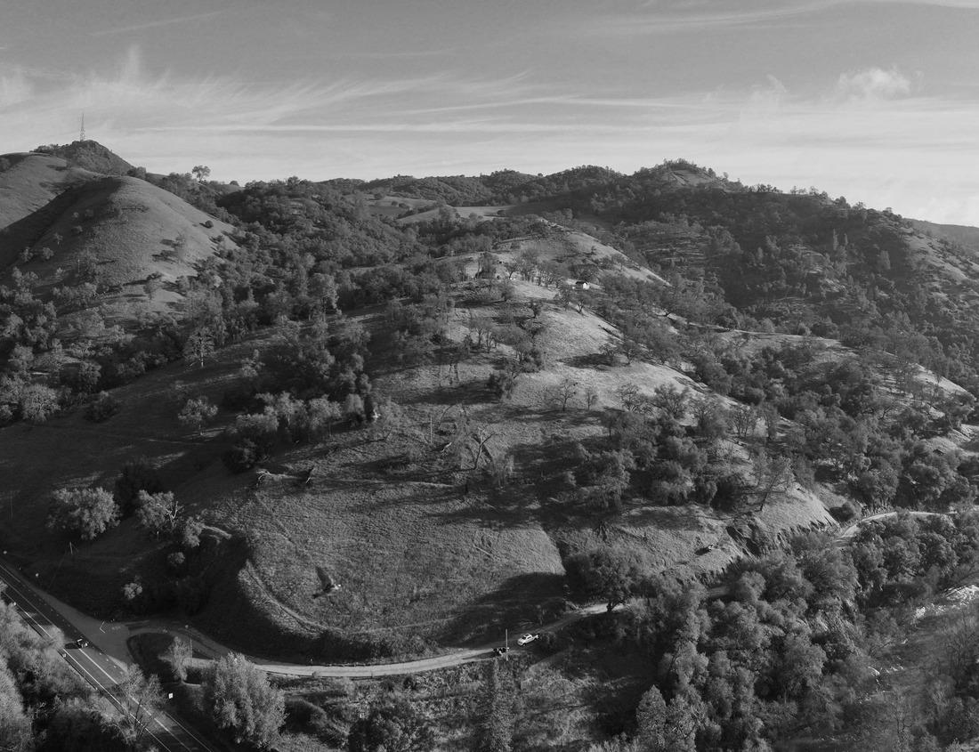 Noah Jigsaw Puzzle City of St. Louis skyline. Image of St. Louis downtown with Gateway Arch at twilight in black white 1000 pieces
