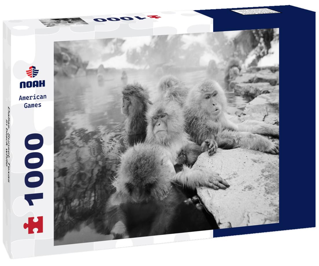 Noah Jigsaw Puzzle Dallas, Sunset, Texas in black white 1000 pieces